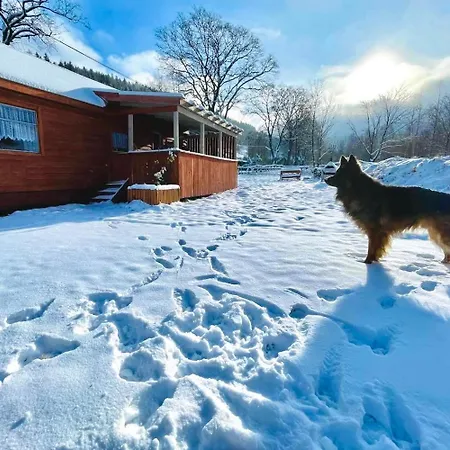 Domek Andrzejowka Pod Snieznikiem Jacuzzi 1 Na Dzialce Vakantiehuis Stronie Śląskie