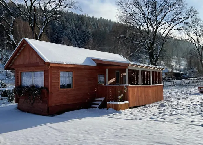 Domek Andrzejowka Pod Snieznikiem Jacuzzi 1 Na Dzialce *